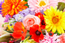 Montage de fleurs colorées