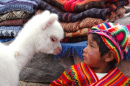 Un garçon et un jeune lama, Arequipa, Pérou
