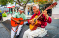 Artistes de rue à Armenia, Colombie