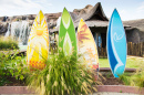 Planches de surf Hawaïiennes