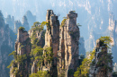 Parc national de la forêt de Zhangjiajie, Chine