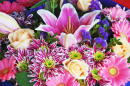 Adorable montage floral