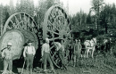 1895 - Occupation de Lumberjacks en California