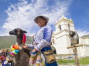 Femme Indienne Quechua avec de l'alpaga