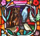 Faune locale, Cathédrale de Dornoch