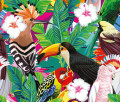 Oiseaux tropicaux