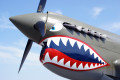 P-40 Warhawk construit en 1941