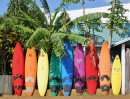 Planches de surf colorées, Paia, Hawaii