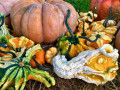 Pumpkins and Gourds