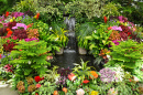 Jardin tropical avec des fleurs colorées