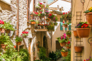 Rues florales à Spello, Italie