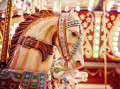 Chevaux de bois Merry-Go-Round