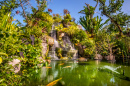 Un étang de carpes dans un jardin Japonais