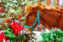 Poney roux près d'un arbre de Noël