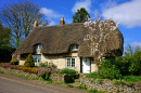 Cottage dans le Gloucestershire avec un toit en chaume