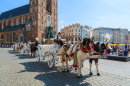 Attelage de chevaux, Cracovie, Pologne