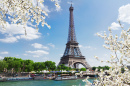 la Tour Eiffel au bord de la Seine, Paris
