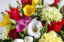 Bouquet de frésias, oeillets et tulipes
