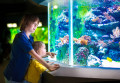 Aquarium Tropical