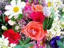 Bouquet de fleurs colorées