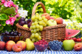 Panier de fruits dans le jardin