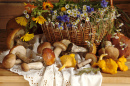 Champignons et fleurs sauvages