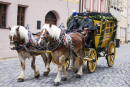 Attelage de chevaux, Nuremberg, Allemagne