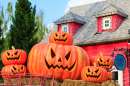 Décorations de maisons pour Halloween