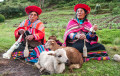 Des femmes Péruviennes au tricot