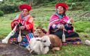 Des femmes Péruviennes au tricot