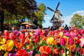 Keukenhof, Pays-Bas
