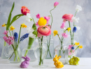 Fleurs dans des vases en verre