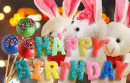 Lapins d'anniversaire