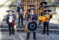 Mariachis pendant le carnaval de Mexico