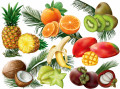 Fruits tropicaux