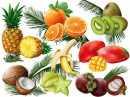 Fruits tropicaux