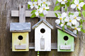 Trois petites maisonnettes pour oiseaux