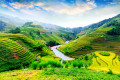 Champs de riz à Mu Cang Chai, Vietnam