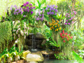 Petite cascade dans un jardin