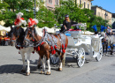 Chariots à chevaux à Cracovie, Pologne