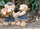 Couple Teddy Bears