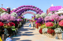 Dubai, Jardin fleuri des Miracles