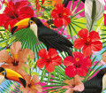 Des toucans et des fleurs