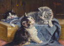 Trois chatons sur une couverture bleue
