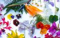 Mélange de fleurs