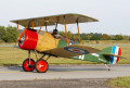 Camel F.1 Biplan, Show aérien Tchèque