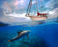 Un dauphin nageant sous un yacht