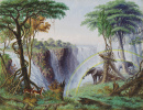 Les chutes Victoria du fleuve Zambesi