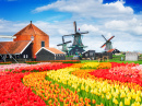 Scènes de la campagne Hollandaise avec des moulins à vent