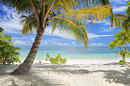 Palmiers et plage de sable, Maldives